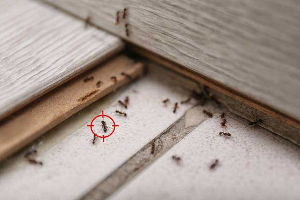 Best Commercial Pest Control Services  in Coldspring, TX