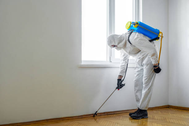 Best Flea Control Services  in Coldspring, TX