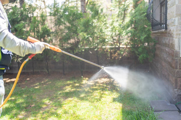 Reliable Coldspring, TX Pest Control Solutions