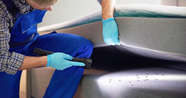 Best Ant Control Services  in Coldspring, TX