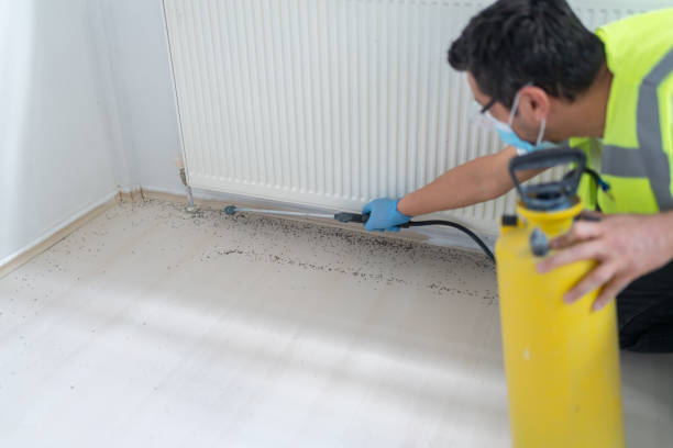 Wasp Removal Services in Coldspring, TX