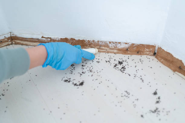 Best Best Pest Control Companies  in Coldspring, TX